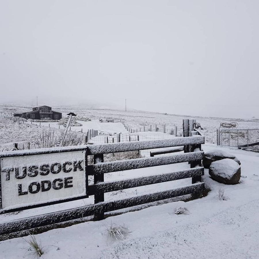 Tussock Lodge - Waipiata 外观 照片